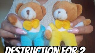 Destruction for 2 Teddy bears 609