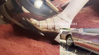 My t-bird sat for too long! It needs some work! I did REV IT!