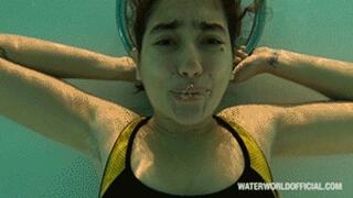 Lory's Pool Blackout