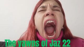 The yawns of Jaz 22