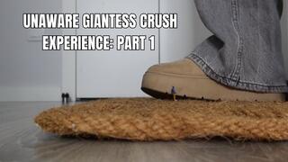 Unaware giantess crush experience: part 1 - OnlyVanessa (custom clip)