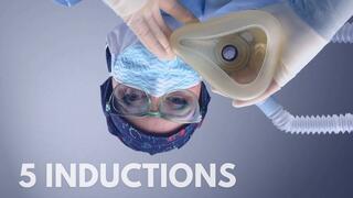 Count backwards from 100 : Leela Lapin Induces You repeatedly in 5 Inductions with Masks and Tubes