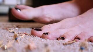 Remedy Shrunken Ex Boyfriends Serve or be Swallowed - Part 1