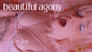 beautiful agony for Joe