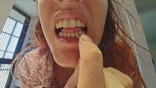 ASMR: Chewing pumpkin seeds