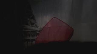 Shower Silhouette Tease (You Know What I’m Doing)