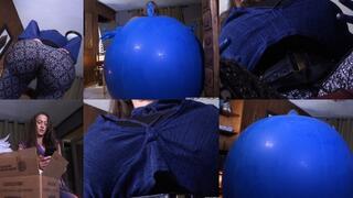 Hourglass to Giant Belly to Blueberry