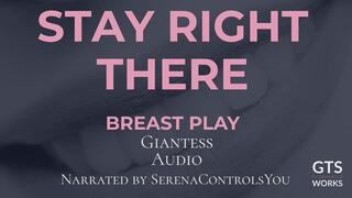 Stay Right There - Giantess Tit Worship Smother - Tiny POV Cleavage Trap - Cum on Her Chest by GTS Works