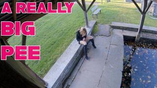 Big pee puddle in public place