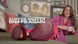 SLIPPER SNIFFER SNIFFS AGAIN