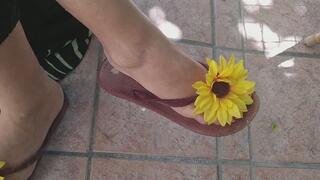 Dirty Flip-Flop Soles: Dorothy’s Grimy After-Walk Feet