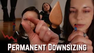 Permanent Downsizing - your career isn't the only thing that she shrunk down to nothing
