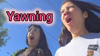 We bought bread and we yawned and yawned