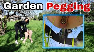 Pegging in my new Garden