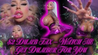 $2 Dumb Tax – Watch Me Get Dumber For You