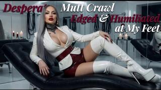 Desperate Mutt Crawl – Edged & Humiliated at My Feet