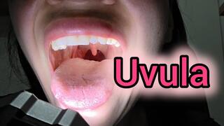Uvula examination with a flashlight