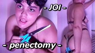 JOI - Penectomy. We're going to give you a penectomy after we make you cum deliciously! POV