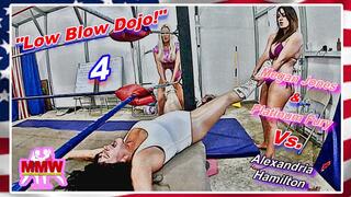 'Low Blow Dojo! 4 WMV