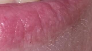 A Tour of Katjas Mouth