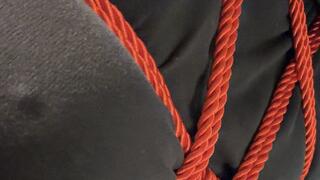MarleneBound Vlog on New Ties