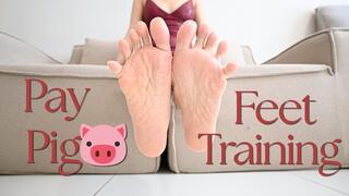 Pay Pig Feet Training