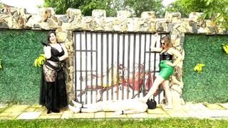 Outside trampling with two Dommes