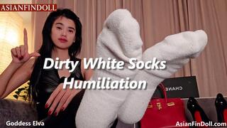 Stinky Chinese Goddess Dirty White Socks - Pathetic White Loser Sniffs & Pays Tribute - Race Play - Interracial Domination Foot Humiliation Foot Smelling Sock Smelling Foot Domination Financial Domination - Findom Female Domination Verbal Humiliation