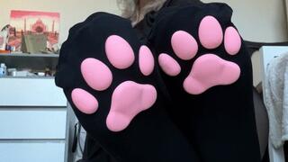 Worship my paws!