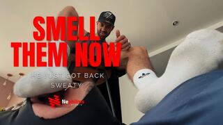 UNDER MASTER JACK POST WORKOUT FEET