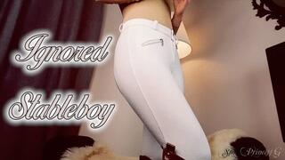 Ignored Stableboy slave