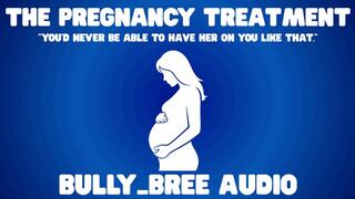 The Pregnancy Treatment Audio