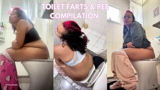 Real Daily Toilet Farts & Pee Compilation Personal Bathroom Moments