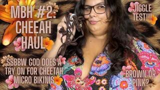 MBH #2: CHEETAH HAUL