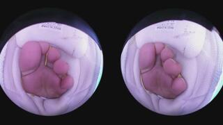 In your boss Gaga's sneaker (Tiny3DX 06)