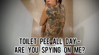 Toilet Pee All Day - Are You Spying on Me?