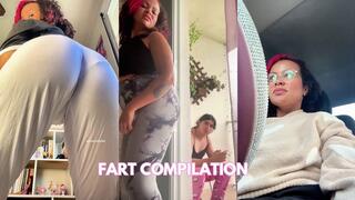 Silly Natural Fart Compilation Public Elevator Car Everywhere