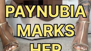 Ebony Goddess Paynubia Catches Disloyal Slave — Extreme Face-Sitting, Piss Marking, Fart Feeding & Permanent Ownership Contract