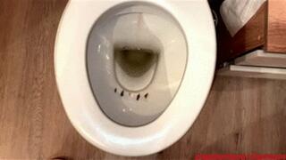 Slaves placed in toilet