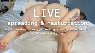 camgirl spreading & masturbation