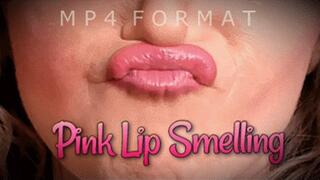 Pink Makeup Lipstick Application Lip Smelling (HD) MP4
