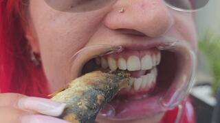 TEETH VS FISH – Crunching Their Heads One by One 8K