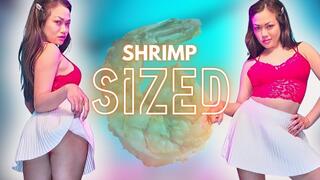 Shrimp Sized: ThePrincessLuxy takes one look at your pathetic little situation and tells you everything you already knew with SPH, cuckold POV, and Erectile Dysfunction Mockery