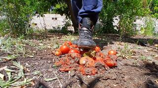Tomato crushing fun in metal cleats