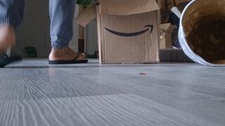 Unaware Giantess: Tiny Danger Under My Flip-Flops