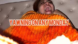Monday Morning Yawns
