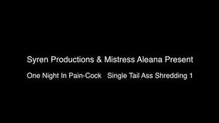 One Night In Pain Cock- Single Tail Ass Shredding Part 1 (MP4 HD)
