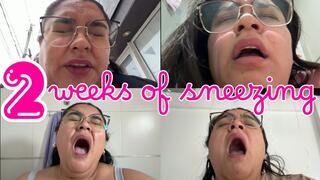 2 weeks of sneezing