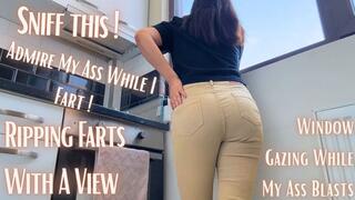 Window Gazing While My Ass Farts