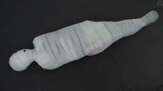Mummification in a plastic vacuum bag girl exhibit proper storage